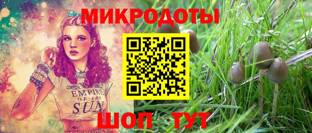 Псилоцибиновые грибы Cubensis Озёрск