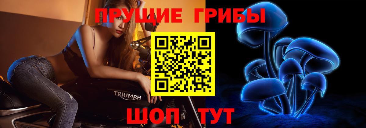 Галлюциногенные грибы GOLDEN TEACHER  Галлюциногенные грибы ЛСД  Вход с VPN  Озёрск 